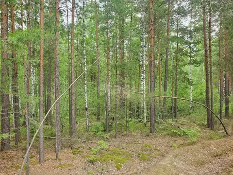 Участок в Тюменская область, Тюменский муниципальный округ, д. ...