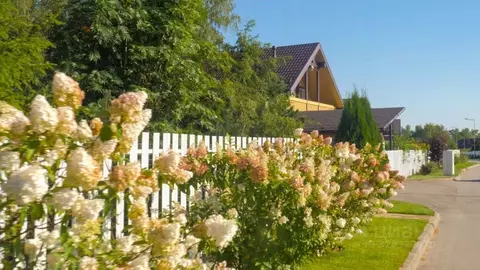 Участок в Московская область, Домодедово Фламандия кп, ул. 7-я (10.03 ...