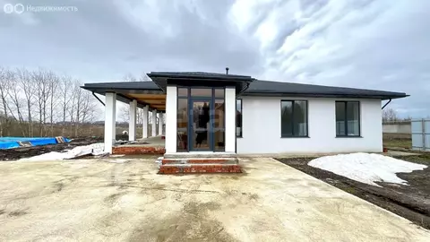 Дом в Саранск, Московская улица (170 м)