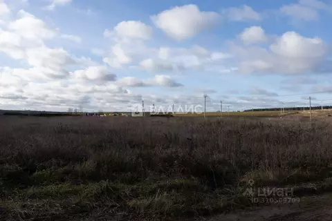 Участок в Владимирская область, Суздальский район, Павловское ...