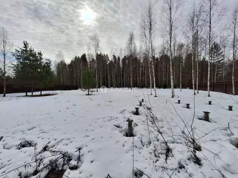 Участок в Ивановская область, Ивановский муниципальный округ, Калинки ...