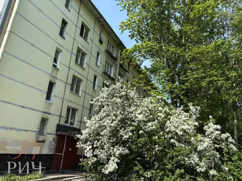 3-к кв. Санкт-Петербург Кубинская ул., 68 (41.0 м)