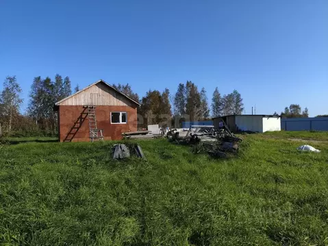 Дом в Тюменская область, Тюмень Царево садовое товарищество,  (36 м)