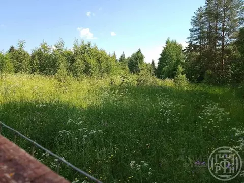 Участок в Ленинградская область, Лужский район, Серебрянское с/пос, д. ...