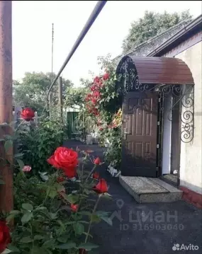 4-к кв. Белгородская область, Валуйки ул. Демьяна Бедного, 10 (99.8 м)