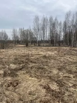 Участок в Московская область, Шаховская муниципальный округ, д. ...