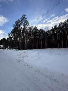 Участок в Свердловская область, Сысерть ул. Березовая, 26 (16.0 сот.)