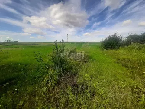 Участок в Белгородская область, Волоконовка рп, Сибирь мкр  (15.0 ...