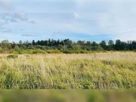 Участок в Московская область, Раменский муниципальный округ, д. ...