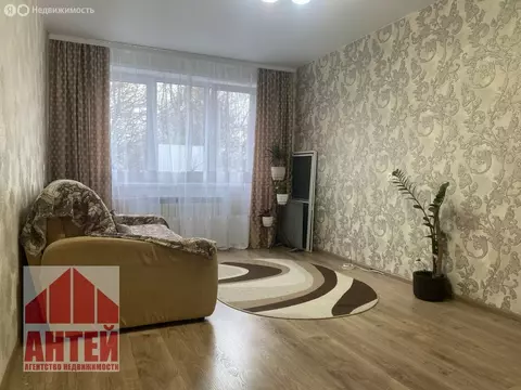 3-комнатная квартира: Павлово, улица Чапаева, 62 (61.8 м)