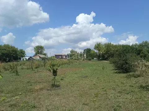 Участок в Белгородская область, Новооскольский муниципальный округ, с. ...