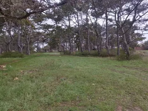 Участок в Севастополь ул. Ромашковая, 10 (8.0 сот.)