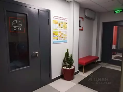 Студия Санкт-Петербург просп. Буденного, 23к1 (26.0 м)