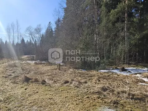 Участок в Ленинградская область, Гатчинский муниципальный округ, д. ...