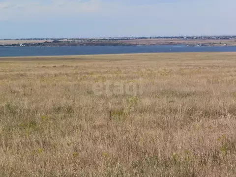 Участок в Крым, Черноморский район, Медведевское с/пос, с. Медведево  ...
