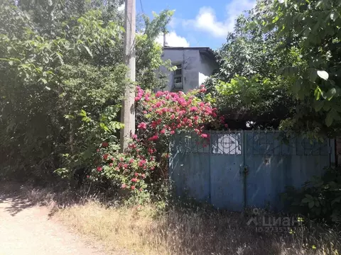 Дом в Севастополь Скалистый-89 СНТ, 91 (70 м)