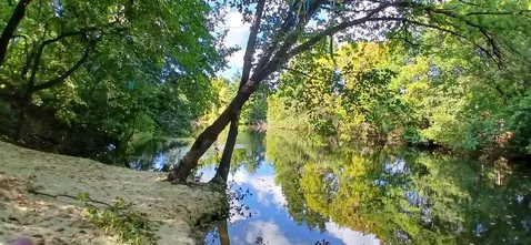 Участок в Саратовская область, Саратов Дзержинец СНТ,  (10.0 сот.)