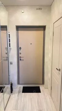 Студия Санкт-Петербург просп. Александровской фермы, 8 (25.0 м)