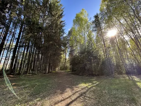 Участок в Ярославская область, Некрасовское с/пос, Малые Соли Парк кп ...
