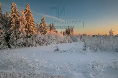 Участок в Свердловская область, Ревда муниципальный округ, с. ...