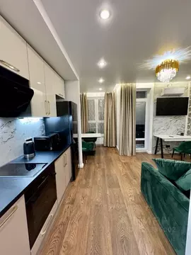 Студия Санкт-Петербург ул. Вадима Шефнера, 4 (30.0 м)