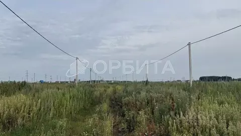 Участок в Тюменская область, Нижнетавдинский район, с. Черепаново ул. ...