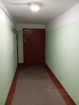 1-к кв. Пермский край, Пермь ул. Солдатова, 38 (35.3 м)