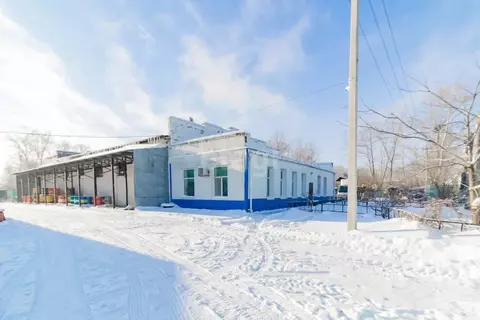 Помещение свободного назначения в Хабаровский край, ...