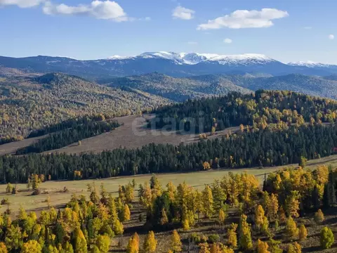 Участок в Алтай, Чемальский район, с. Чемал  (441.6 сот.)