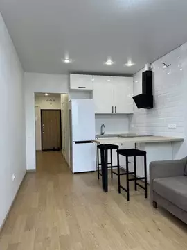 Студия Санкт-Петербург Богатырский просп., 2А (24.0 м)