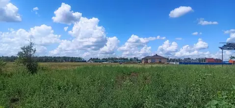 Участок в Тамбовская область, Тамбовский муниципальный округ, с. ...