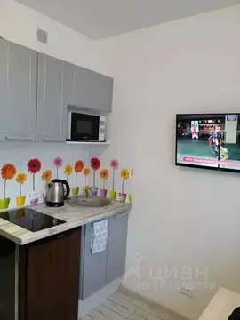 Студия Алтайский край, Барнаул ул. Фомина, 70 (20.0 м)