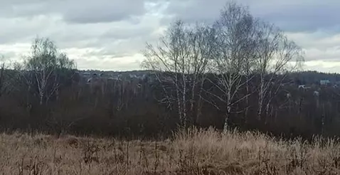 Участок в Московская область, Дмитровский муниципальный округ, пос. ...