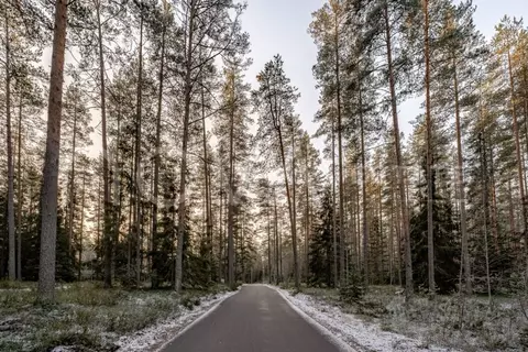 Участок в Ленинградская область, Выборгский район, Первомайское с/пос, ...