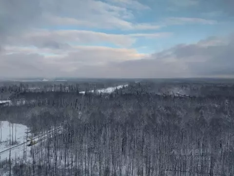 Студия Санкт-Петербург ул. Пейзажная, 26 (20.0 м)