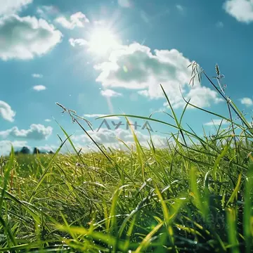 Участок в Татарстан, Тукаевский район, Азьмушкинское с/пос, Санаръ СНТ ...