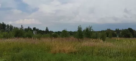 Участок в Московская область, Можайский муниципальный округ, д. ...