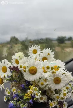 Участок в Гизель, улица Генерала Бароева (10 м)