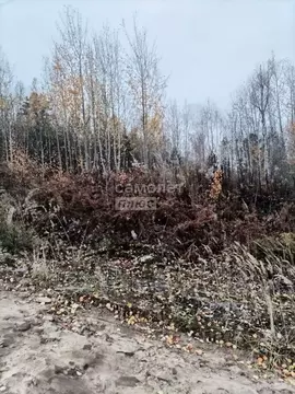 Участок в Иркутская область, Иркутский муниципальный округ, с. ...