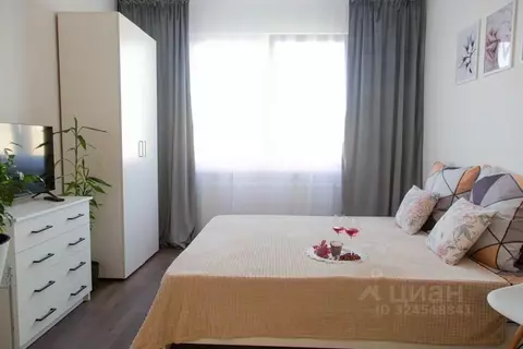 1-к кв. Санкт-Петербург ул. Пейзажная, 24к3 (21.0 м)