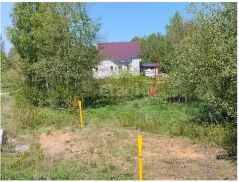 Участок в Костромская область, Костромской район, с. Сущево Советская ...