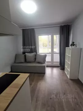 Студия Московская область, Ленинский городской округ, Лопатино пгт ул. ...