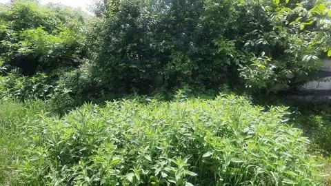 Участок в Кабардино-Балкария, Чегемский район, с. Нартан ул. Ленина, ...