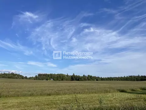 Участок в Ленинградская область, Приозерский район, Раздольевское ...