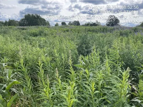 Участок в Московская область, Клин городской округ, д. Мякинино  ...