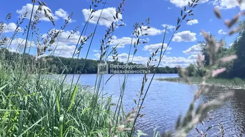 Участок в Ленинградская область, Волховский район, Вындиноостровское ...