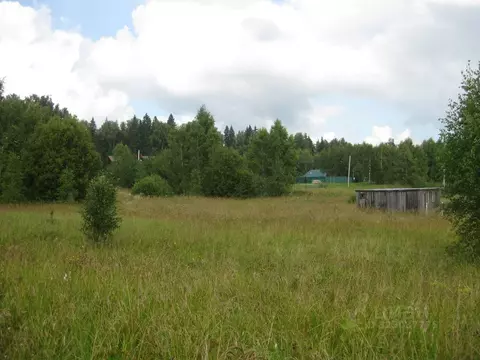 Участок в Московская область, Рузский муниципальный округ, д. Барынино ...