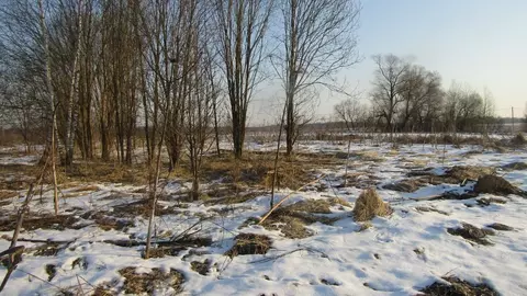 Участок в Московская область, Рузский муниципальный округ, д. Ватулино ...