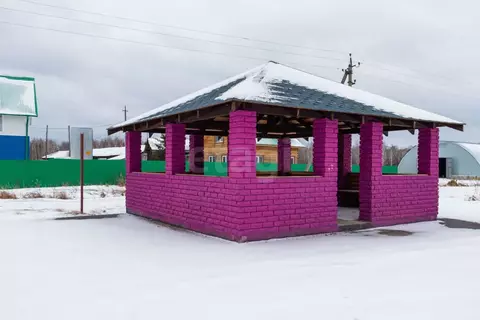 Участок в Свердловская область, Тугулымский муниципальный округ, с. ...