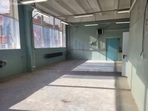 Производственное помещение (144.5 м)